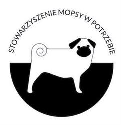 Stowarzyszenie Mopsy W Potrzebie
