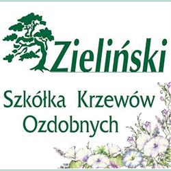 Szkółka Krzewów Ozdobnych Zieliński