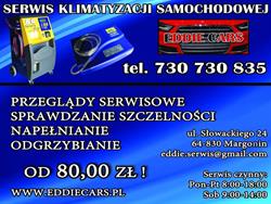 EDDIE CARS - AUTO KLIMA SERWIS Napełnianie i Odgrzybianie klimatyzacji