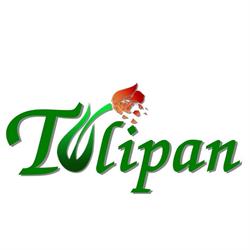 Fundacja resocjalizacji i readaptacji społecznej TULIPAN