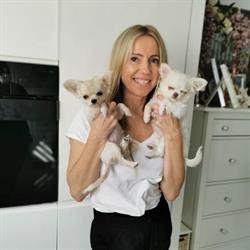 Salon Strzyżenia Psów Kamilla Paszkowska Przeźmierowo Animals Butique