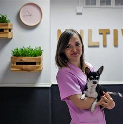 Gabinet Weterynaryjny Multivet Ołowiana 11 Wrocław