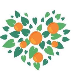 Fundacja Moje Drzewko Pomarańczowe