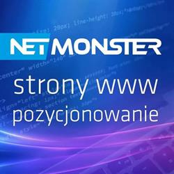 NETMONSTER Strony Internetowe