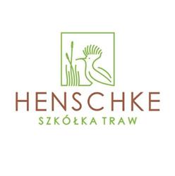 HENSCHKE Szkółka Traw