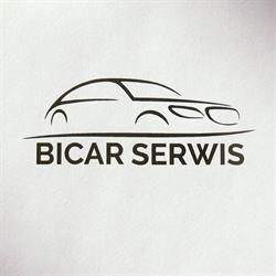 BiCar Grzegorz Biłozor