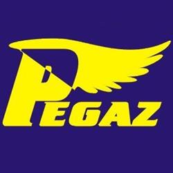 Ośrodek Szkolenia Kierowców PEGAZ