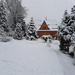 Dworek Nad Górskim Potokiem (dom do wynajecia w Karpaczu )
