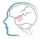 Klinika Języka neurologopeda Anna Poleszak