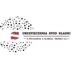 UBEZPIECZENIA SPOD KŁADKI (dawny Robmar Robert Gruszczyński ) A PECUSZOK& A SŁABICKA-MENDUS S.C.