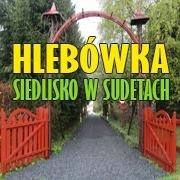 Hlebówka - siedlisko w Sudetach