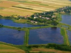 Gospodarstwo Rybackie Topornica Sp. z o.o.