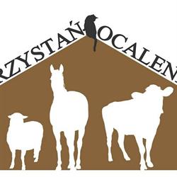 Przystań Ocalenie