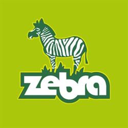 Zebra Sklep Zoologiczny Terrarystyka