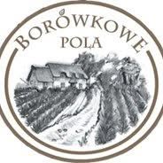 BORÓWKOWE POLA