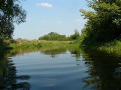 Wypożyczalnia kajaków Magiczna Rzeka - Bzura Kajaki