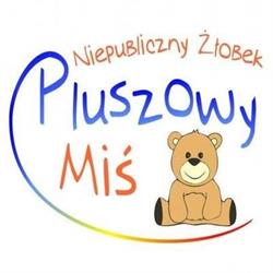 Niepubliczny Żłobek Pluszowy Miś Poznań