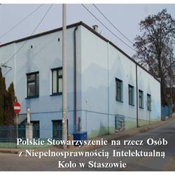 Psoni Koło W Staszowie
