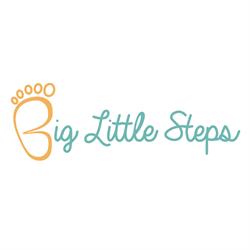 Niepubliczne Przedszkole Big Little Steps
