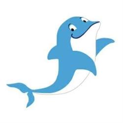 delfinteam.pl