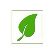 Green Ground Intermedia