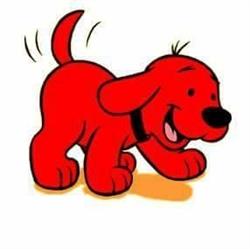 Sklep zoologiczno-wędkarski Clifford