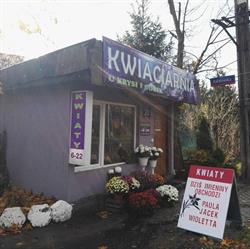 Kwiaciarnia u Krysi