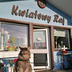Kwiatowy Raj Agnieszka Fiedosewicz-Rosół