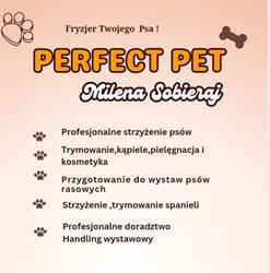 Perfect Pet