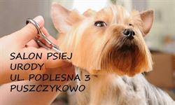 Salon Psiej Urody Gucio