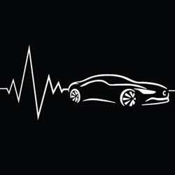 Vip Car Rental