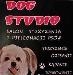 Dog Studio