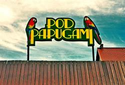 Bar pod Papugami