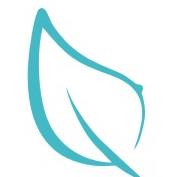 Asset USG, Endokrynolog, Urolog