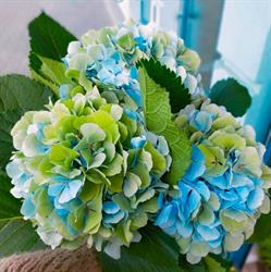 Flowers&co