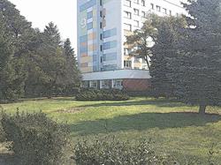 Samorząd Studencki UMK