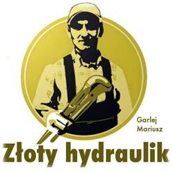 Złoty Hydraulik Gdańsk. Szybka fachowa pomoc!