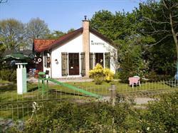 Tawerna Mini Golf