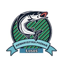 Sklep Rybny Łosoś,Akwarystyka