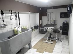 Psi Salon