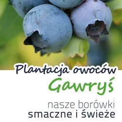 Plantacja Owoców Gawryś