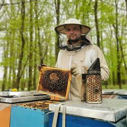 Pasieka Łąkowa - miód i produkty pszczele