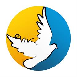 Agencja Kreatywna Eviv