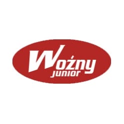Kotły i Piece Pleszew - Woźny Junior
