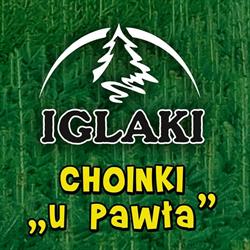 Choinki u Pawła