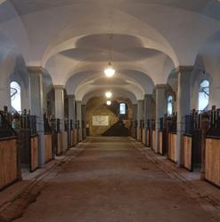 Stadnina Koni Na Wyspie Kędzierzyn Koźle