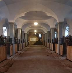 Stadnina Koni Na Wyspie Kędzierzyn Koźle