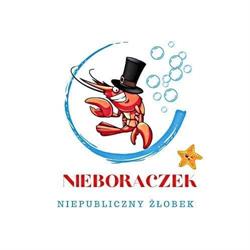 Niepubliczny Żłobek Nieboraczek