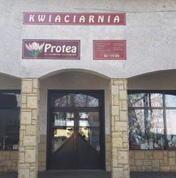 Kwiaciarnia Protea