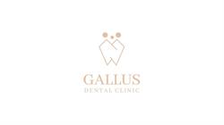 DENTYSTA Wołów Gallus Dental Clinic